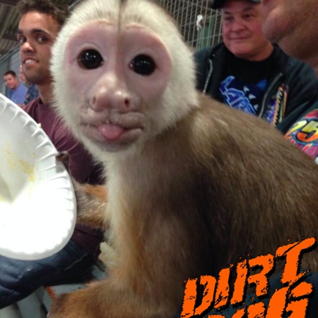 Lmao the things you see at chili bowl.