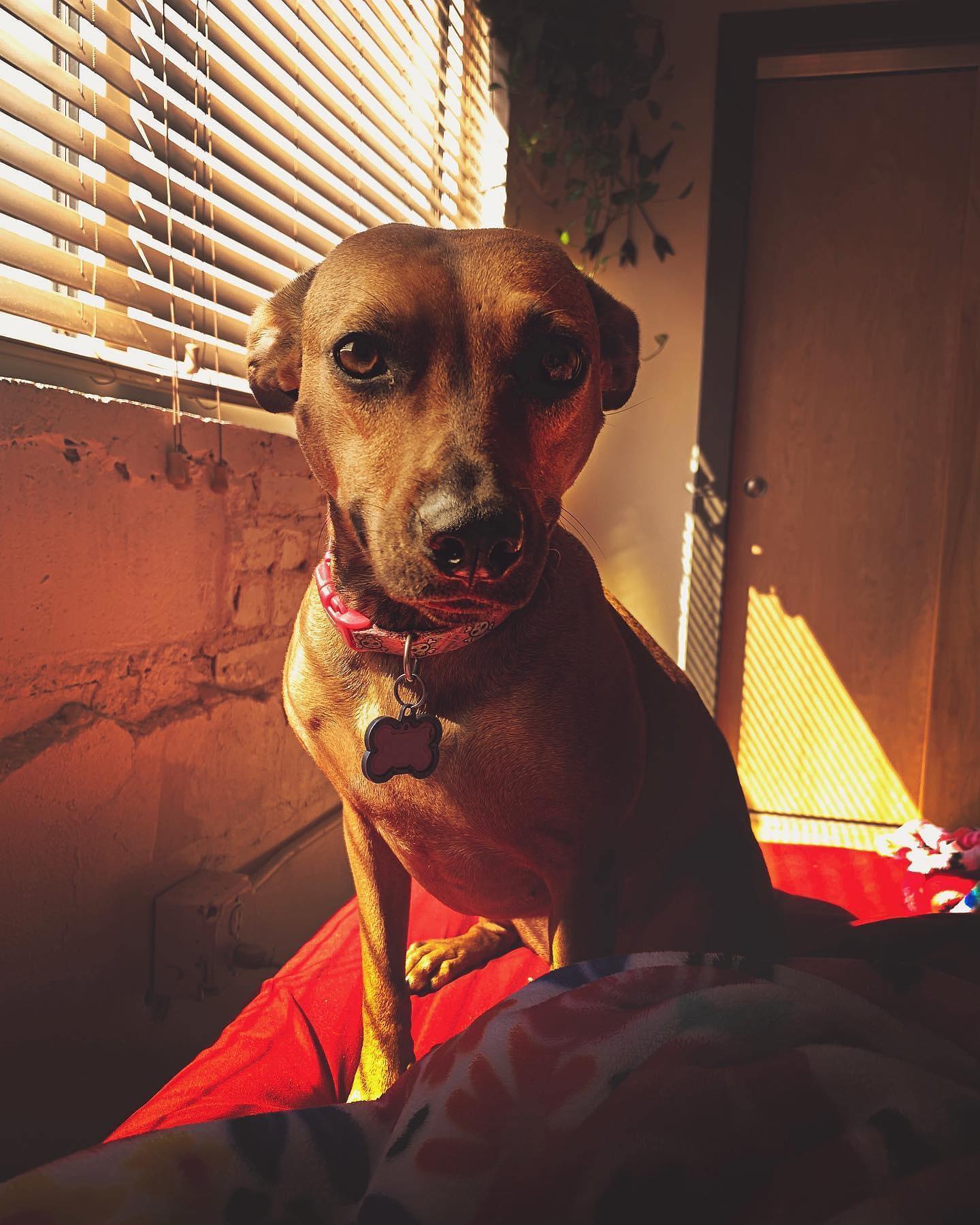More than anything in the world I miss waking up to koko telling me it’s time to go o…